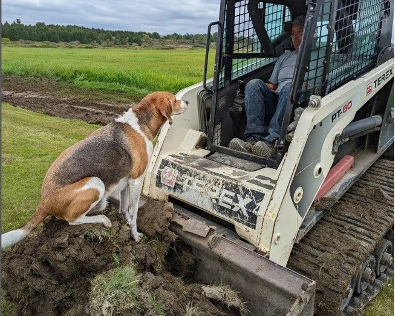 Charlie, CPO · Chief Procrastination Officer at ALM Construction & Landscaping
